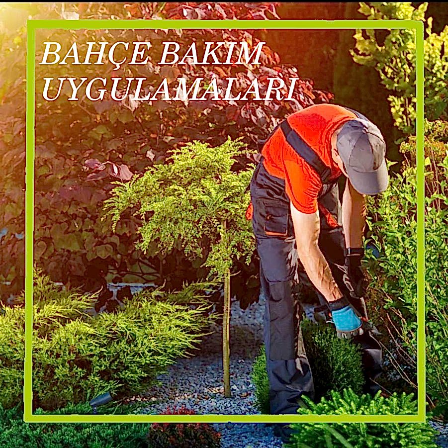 Peryodik Bakım Uygulamaları