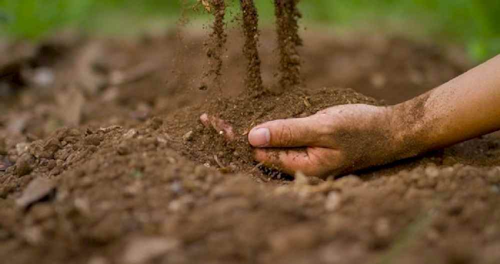 Toprak, Torf ve Doğal Gübreler