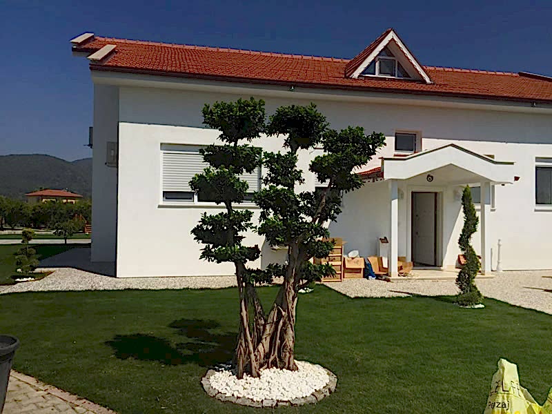 Ahmet Ekmekçioğlu-Dalaman