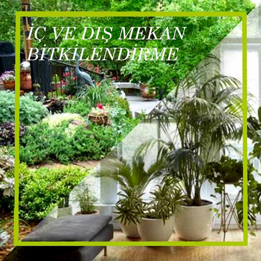 İç ve Dış Mekan Bitkilendirme