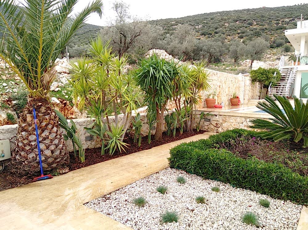 Lesley Irvina-Kalkan