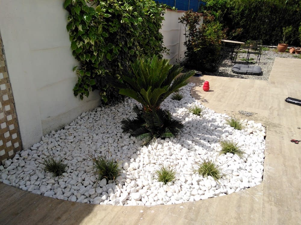 Rieder Werner-Dalaman