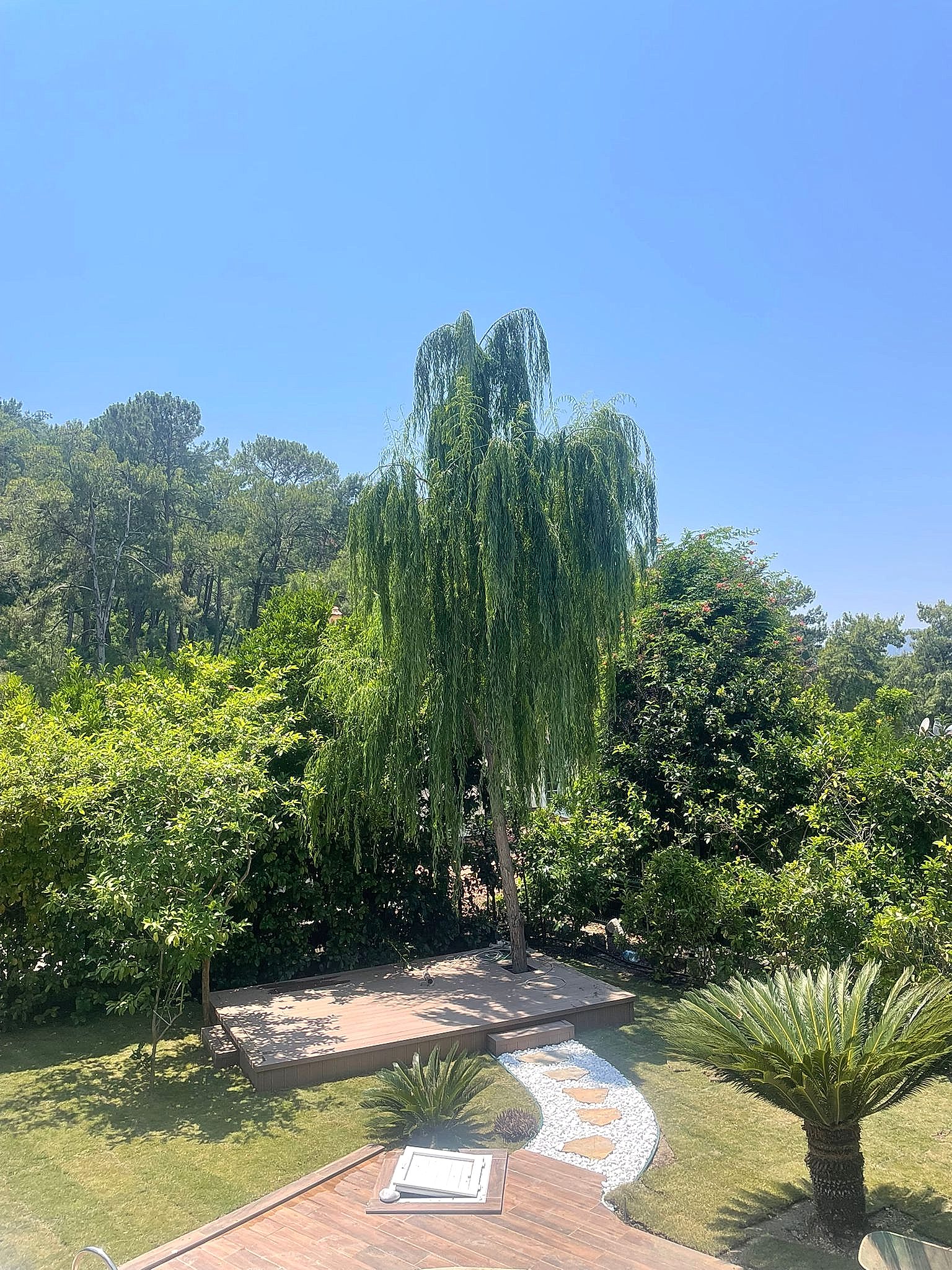 GÖCEK VİNEYARD SİTESİ PEYZAJ PROJESİ